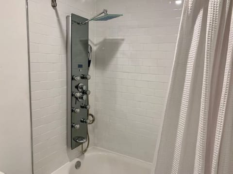 Rainfall showerhead, hair dryer, towels