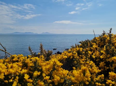 Spring Tide - Flowers and sea