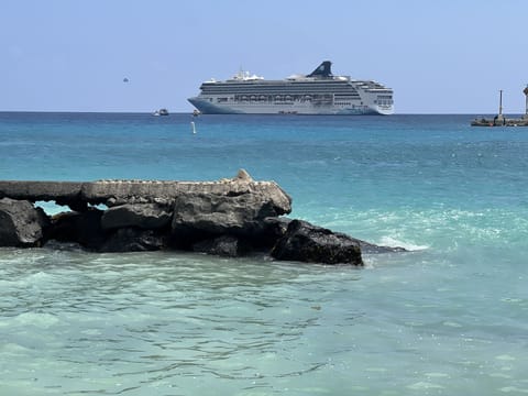 Kailua Bay & Pier (0.8 miles from the apartment)