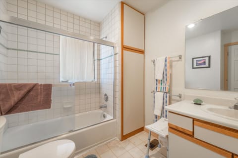 Combined shower/tub, hair dryer, towels