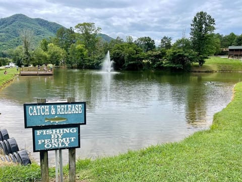 5min drive from cabin next to pool. Permit is included with your stay! Bait and poles available for rent/purchase