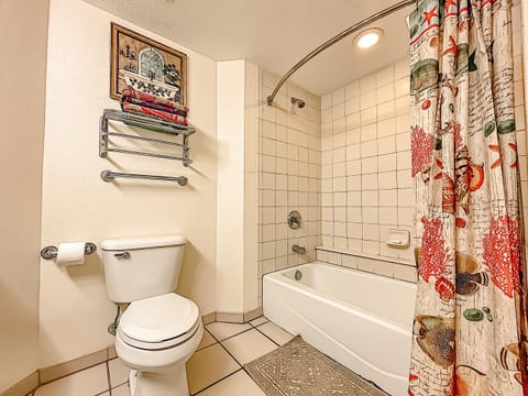 Combined shower/tub, hair dryer, towels, soap