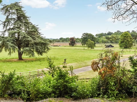 Surrounding area | Lower West, Knighton-on-Teme, Tenbury Wells