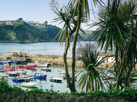 Surrounding area | Bluebell House, Tenby