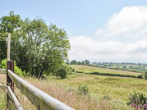 View | Bwlchgraig Fach - Bwlchygraig Cottages, Bwich-llan, near Lampeter