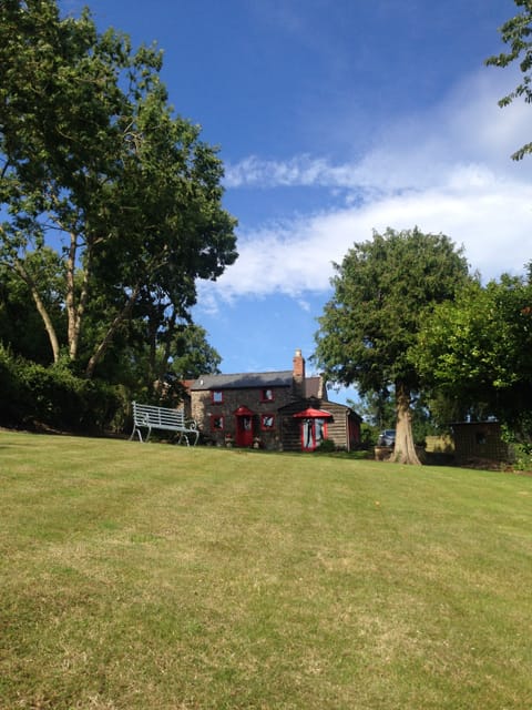 View from the bottom of the garden