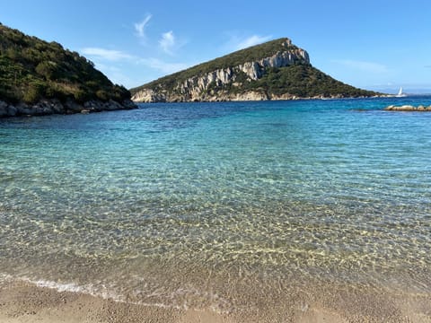 Beach nearby, sun loungers