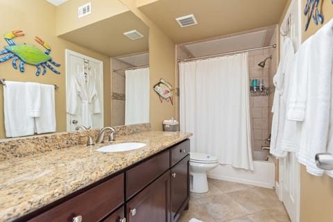 Combined shower/tub, hair dryer, towels, soap