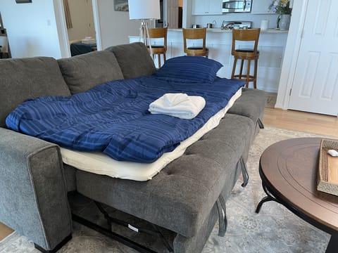 sleeper sofa with mattress pad for extra comfort