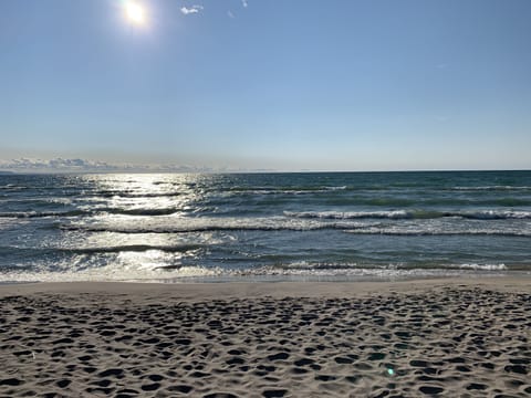 Beach nearby, sun loungers