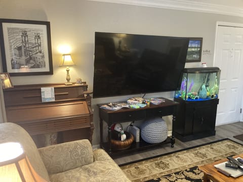 Smart TV, computer monitors, printers