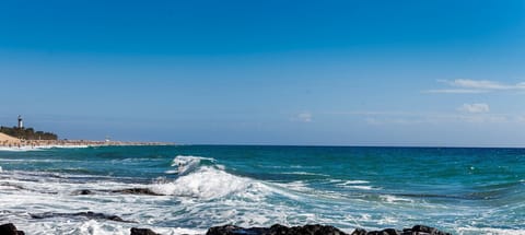 Beach nearby, sun loungers