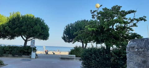 On the beach, sun loungers