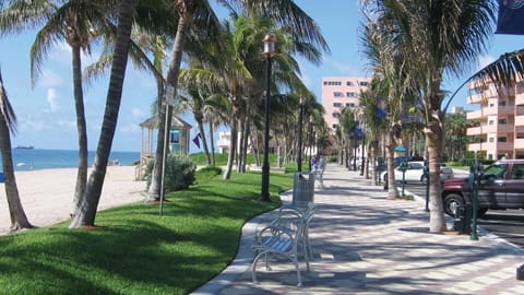 Sun loungers, beach towels