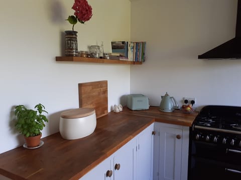 Fridge, oven, stovetop, coffee/tea maker