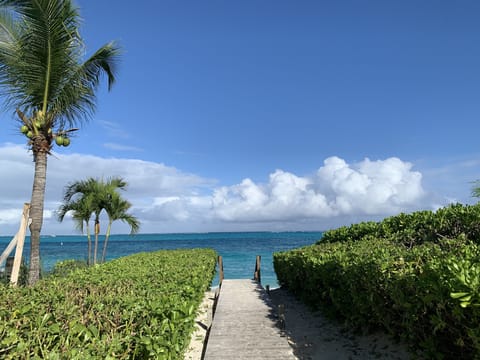 Beach nearby, sun loungers, beach towels