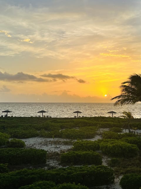 Beach nearby, sun loungers, beach towels