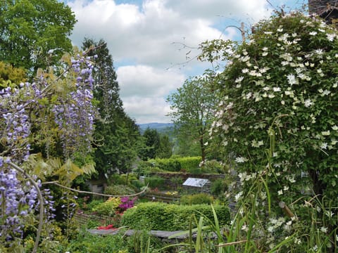 View | Kilnshaw, Ambleside