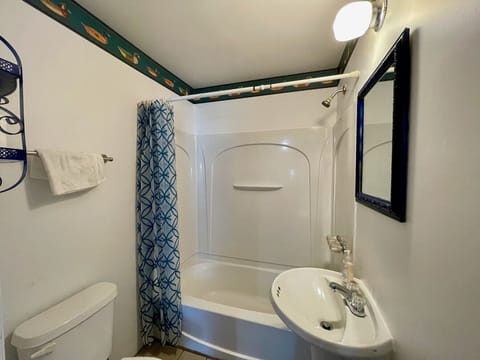 Combined shower/tub, towels, toilet paper