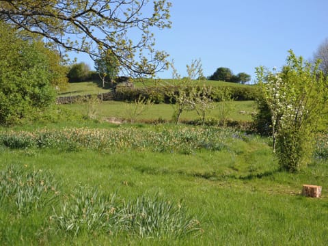 Ghyll Close, Ings near Staveley