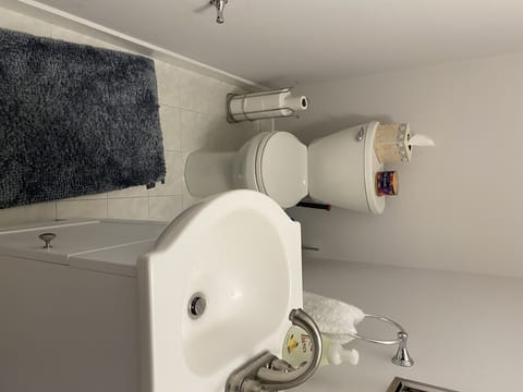 Combined shower/tub, hair dryer, bidet, towels