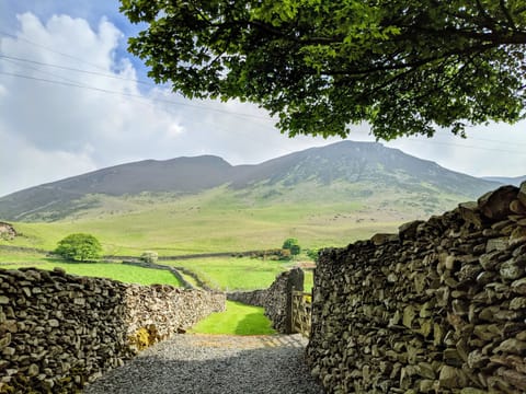The private path leading to the fell, starting at the door steps