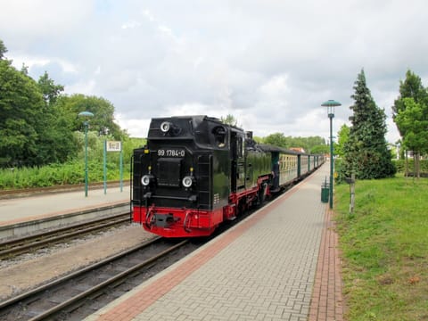 Sky, Property, Plant, Tree, Building, Land Lot, Slope, Shade, Asphalt, Wood