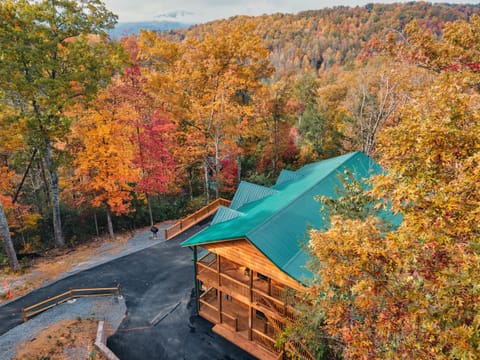 Leaves crunching, colors shouting louder than your GPS. Fall at the cabin = postcard vibes all around.