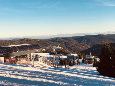 Snow and ski sports