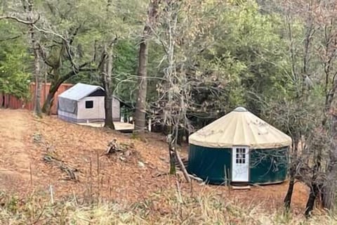 02f1cb87 3be6 46a9 9838 b291e5efb735