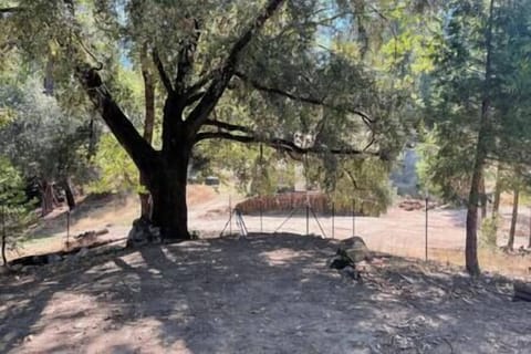 A6672a7e aa5d 47b0 a42e 30167fcbb61c