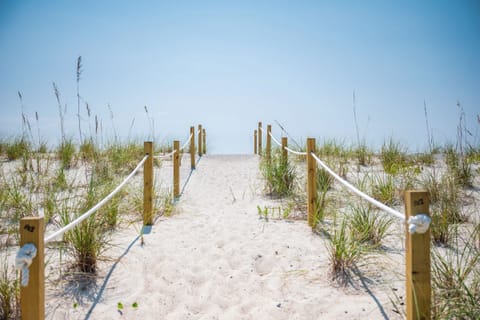 On the beach