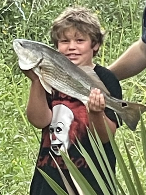 Red drum caught in creek behind our home 