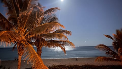 On the beach, sun loungers, beach towels