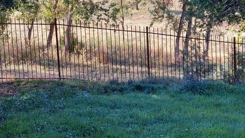 fenced in back yard