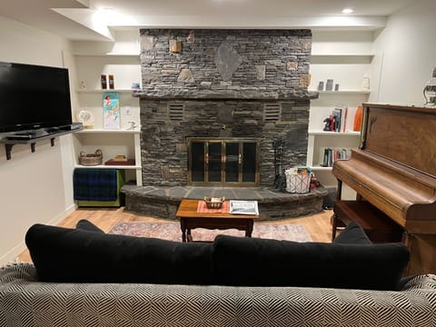 TV, fireplace, books