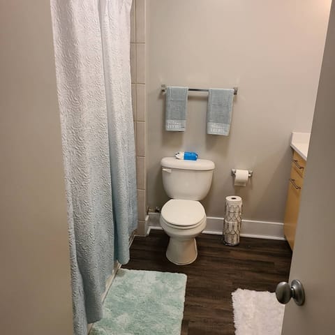 Combined shower/tub, hair dryer, towels, soap