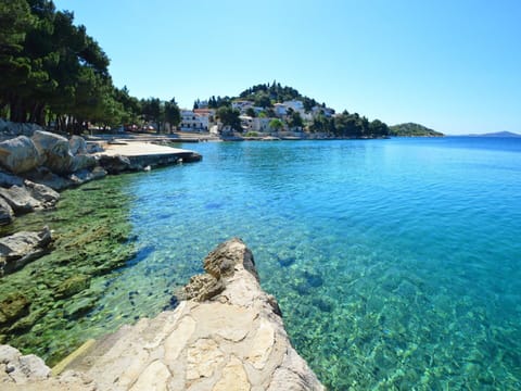 Water, Sky, Cloud, Water Resources, Azure, Tree, Natural Landscape, Beach, Coastal And Oceanic Landforms, Plant