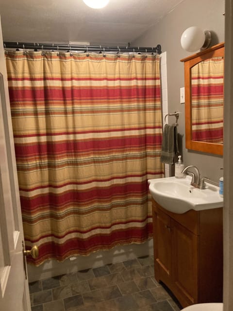 Combined shower/tub, towels, soap