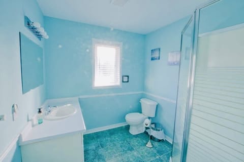 Combined shower/tub, hair dryer, toilet paper