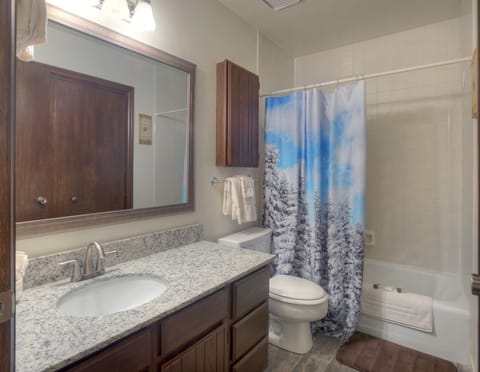 Combined shower/tub, hair dryer, towels