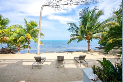 Beach front and beach lounge chairs.