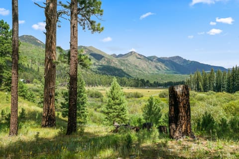 Looking toward north Vallecito Lake-not visible from the house