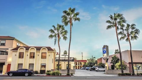 1KNS-1 King Non Smoking image 2