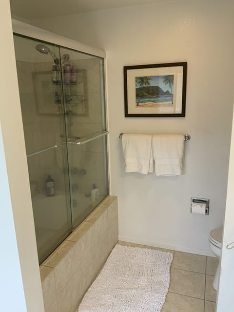 Combined shower/tub, hair dryer, towels, soap