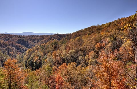 Fall view from cabin