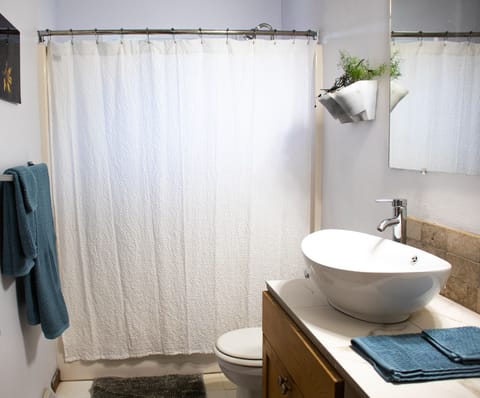 Combined shower/tub, hair dryer, towels, soap