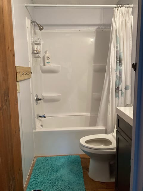 Combined shower/tub, hair dryer, towels, soap