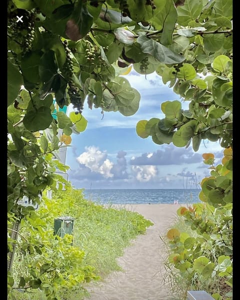 Beach nearby, sun loungers