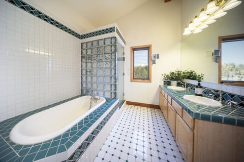 Combined shower/tub, hair dryer, towels, soap